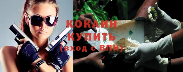 прущие крисы Новокубанск