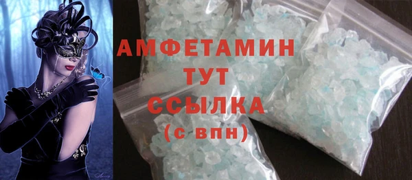 твердый Новозыбков