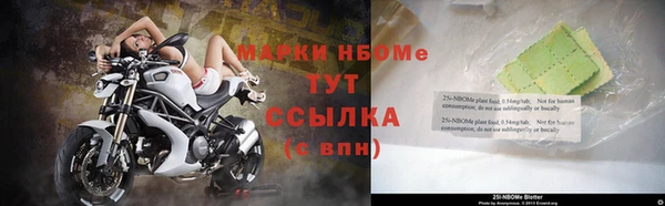 прущие крисы Новокубанск