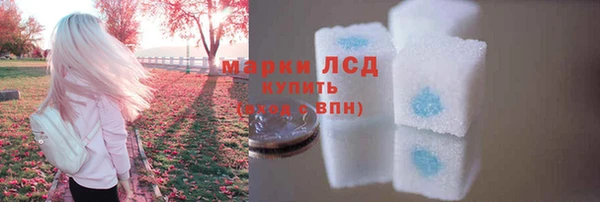 твердый Новозыбков