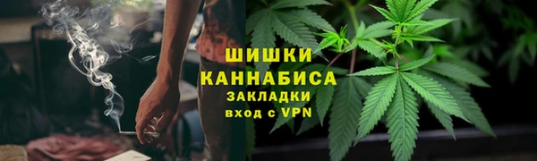 твердый Новозыбков