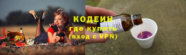 прущие крисы Вяземский