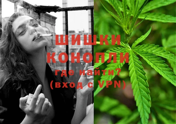 твердый Новозыбков