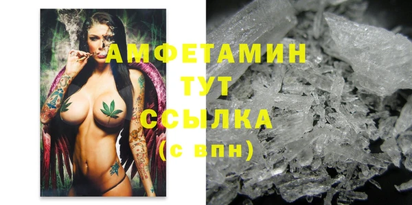 твердый Новозыбков