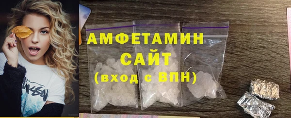 твердый Новозыбков
