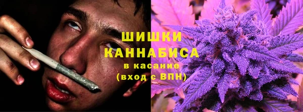 a pvp Новодвинск