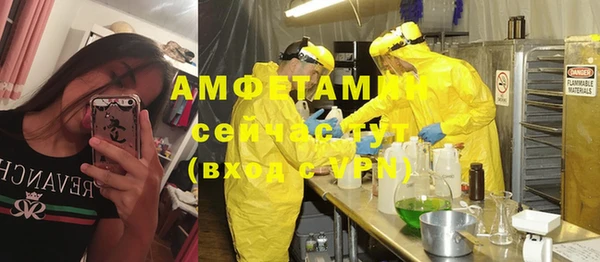 твердый Новозыбков