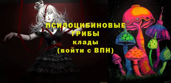 a pvp Новодвинск
