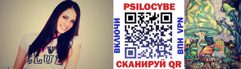 Псилоцибиновые грибы Cubensis  как найти   Кремёнки 